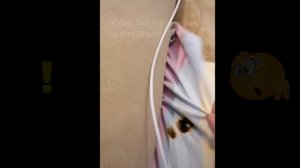 Оставил зарядку для телефона в розетке / Чуть не случился пожар