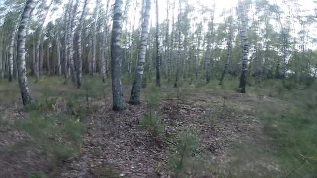 Оторвался по рыбке и грибам перед отъездом с базы. На Оке в августе. Часть седьмая. смотреть онлайн