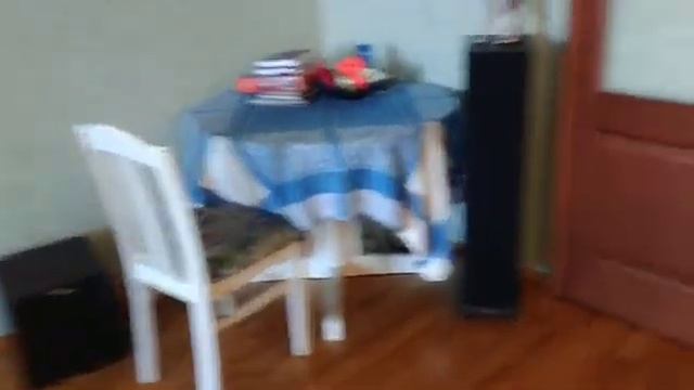 Кошачья интуиция! смотреть онлайн