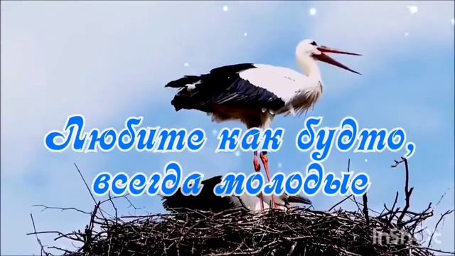 С днём всех влюбленных, святого Валентина, Самое красивое и романтичное поздравление
