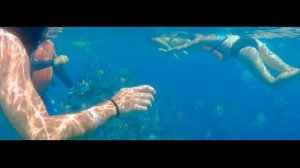 Snorkeling At Playa Laguna De Maya - Cuba, Varadero 2019