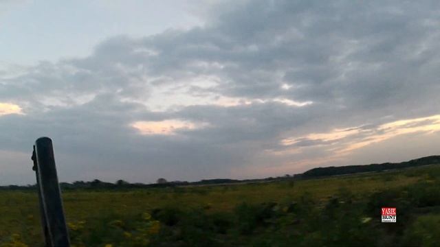 ?ОХОТА НА ПЕРЕПЕЛА?КРАСНОДАРСКИЙ КРАЙ