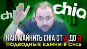 Подводные камни в Chia | Как Майнить Chia от А до Я | Часть Первая