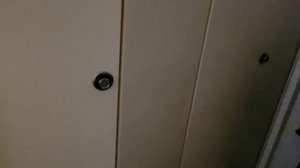 ЕДУ К РОДИТЕЛЯМ УБИРАТЬСЯ /США /СЕЛЬЧАНКА В АМЕРИКЕ /