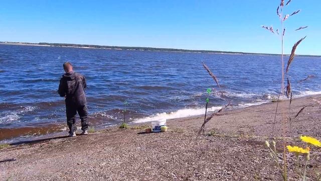 РЫБАЛКА НА ФИДЕР 27 ИЮНЯ. ЛЕТНЯЯ ЛОВЛЯ ЛЕЩА НА РЕКЕ смотреть онлайн