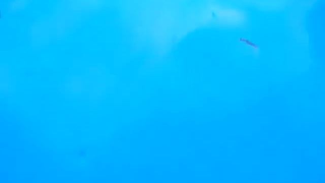 Шумоизоляция дверей ЗИЛ 130. смотреть онлайн