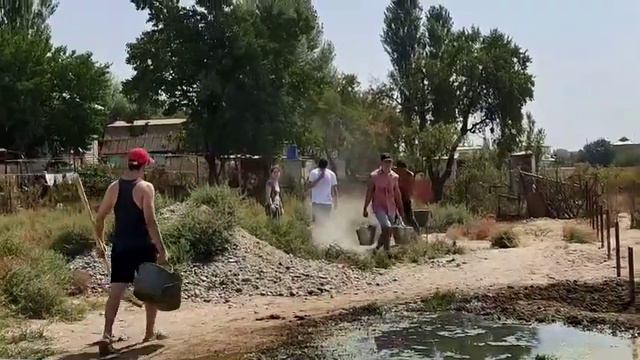 Заботливые Сердца: Волонтеры в Приюте 4 Лапы #волонтеры #dogs #puppies #helpingothers смотреть онлайн