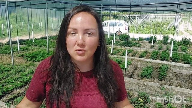 Использование биогумуса на саженцах ежевики. Мой опыт и выводы