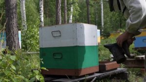 технология пчеловождения, первое расширение