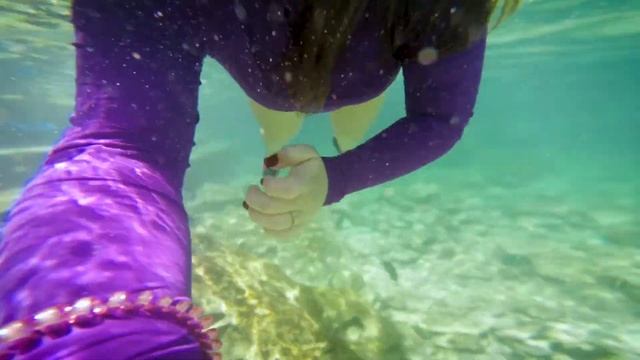 TUDO QUE VOCÊ PRECISA SABER SOBRE XCARET, o ecopark na Riviera Maia | Viajando na Mostarda смотреть онлайн