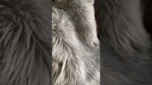 Коврик из искусственного меха прикроватный шкурка плед пушистый коврик 2021