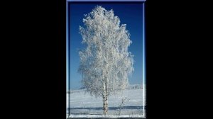 Читаем стихи Афанасия Фета