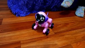 ЗАВЕЛИ Интерактивного щенка ЧИП WowWee. Реакция нашей собаки Джессики на нового питомца.