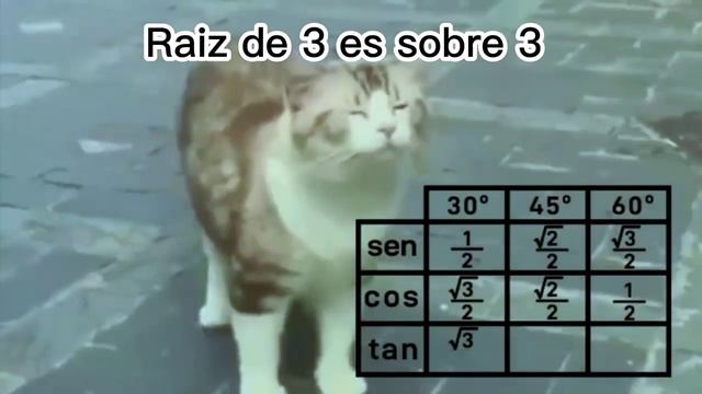 Gatito Bailando Canción de Matemáticas (Subtitulado) смотреть онлайн