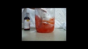 Sodium alginate - calcium lactate gelation