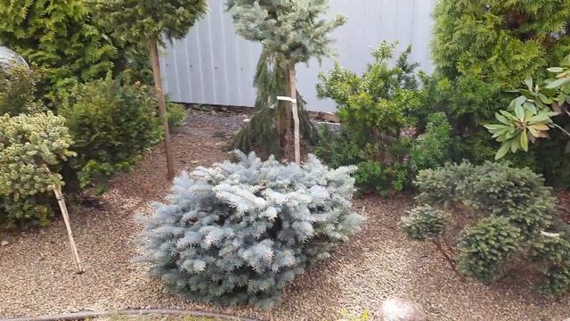 Сад Ольги Молчановой?Майские зарисовки?2022 год? смотреть онлайн