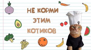 НИКОГДА НЕ КОРМИ ЭТИМ КОТИКА