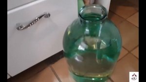 Вишнёвый мацерат.