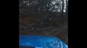 Suzuki Jimny JB64W