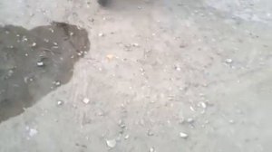 Зид-50 пилот с двигателем от альфы.