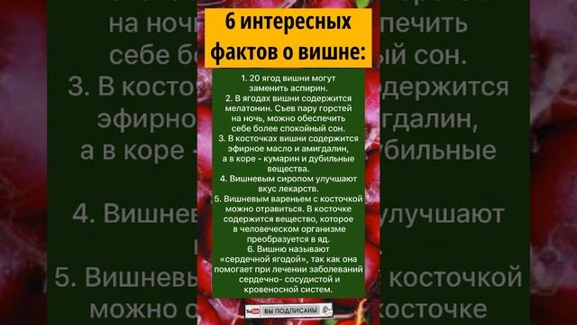 6 интересных фактов о ВИШНЕ. #полезныесоветы #здоровье #пользаивред #народнаямедицина #shorts #зож