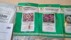 Где купить  проф. семена Петунии.?