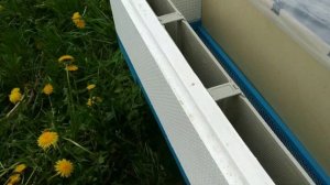 Вывожу маток и делаю отводки ?. Нуклеус на рамку 145. Цветение рапса. Ставлю ловушки.