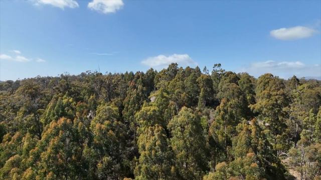 Brookland Avenue, Acacia Hills смотреть онлайн