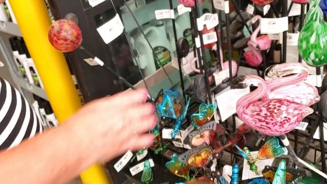 США❤РАСТЕНИЯ ФЛОРИДЫ❤ПЕРЕСАДКА ЦВЕТКА BROMELIADS (197) смотреть онлайн