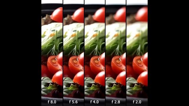 Уроки фотографии для начинающих смотреть онлайн