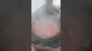 это лучшее, что я  когда-либо ел! шурпа из оленины в казане