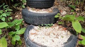 Путешествие на машине с собакой, Адыгея, Национальная кухня, Шикарное место для ночевки