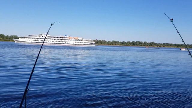 Рыбалка выходного дня. ( Кама 13.08.2023 г. ) смотреть онлайн