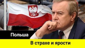 Польша в страхе и ярости от желания адекватных лидеров Европы наладить отношения с Россией