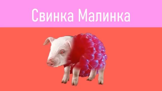 Мышка Сосиска, Крыска Ириска,Кошка Картошка, Кот Бутерброд, Кошка Окрошка, Крыска Покрышка. смотреть онлайн