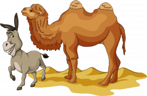 Свапа 15 17 09 2023+