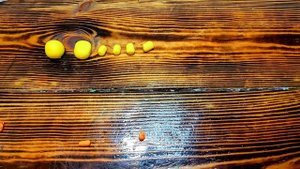 Моя УТЯ из воздушного пластилина. Показываю, как лепить уточку