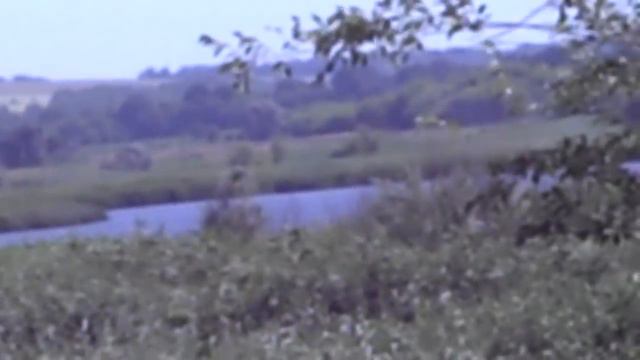 Голуби не летают так мы на рыбалку смотреть онлайн