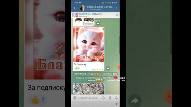 моя телега https://t.me/stream_baiker_mopeda