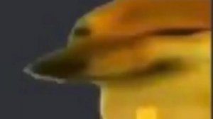 1 bit , 2 bit , 4 bit , 8 bit , 16 bit , 32 bit , 64 bit  , 128 bit