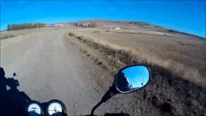 Собаки напали на мотоциклиста на ферме кангал
