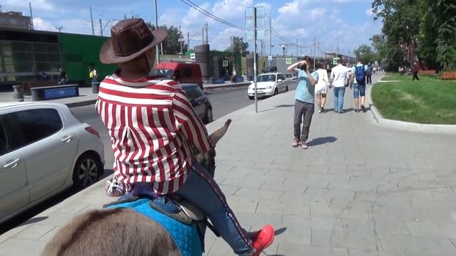 На День рождения подарили осла :))) смотреть онлайн