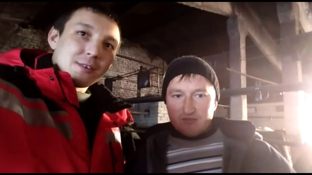 Отзывы про компанию КамАгро поставщик крупно рогатого скота. Где купить крупно рогатый скот? смотреть онлайн