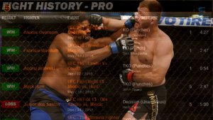 ТОП 10 ЛУЧШИХ ТЯЖЕЛОВЕСОВ В ИСТОРИИ ММА