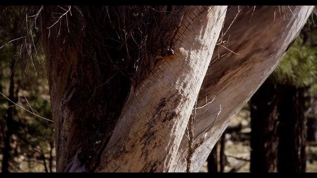 Расслабляющая музыка. Relaxing Music.