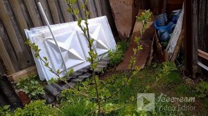 Миф 1.  Яблоня из семечки и корневой поросли  Отвечаю.