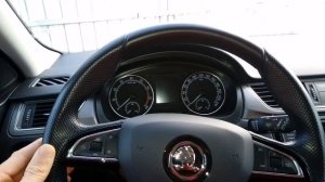 Закусывает руль(эур), шкода рапид.