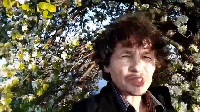 Здоровые взаимоотношения   мир общения людей
