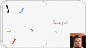 2.70. Как понимать хромосомные наборы (n и c) | Цитология к ЕГЭ | Георгий Мишуровский