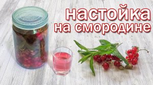 Настойка на Смородине и Самогоне Такого еще не Пробовали Рецепт от канала Свой Среди Своих кулинария